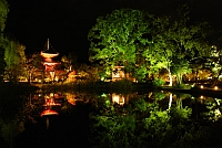 大覚寺 夜間特別拝観 真紅の水鏡 京都のイベント情報