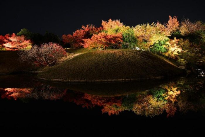 梅小路公園紅葉まつり ライトアップ デジスタイル京都