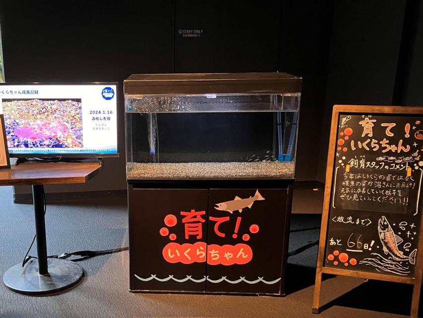 成長過程をまとめた動画やサケの稚魚の展示